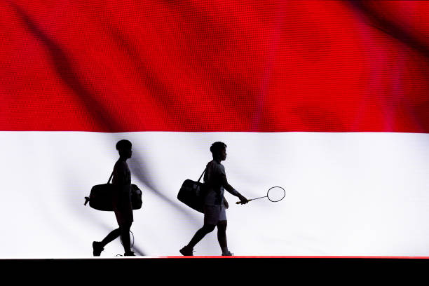 2224磅羽毛球拍推薦：高性價比型號盤點