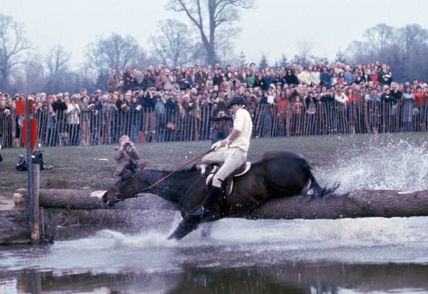 羽毛球場長寬標準圖解：單打與雙打場地區(qū)域劃分