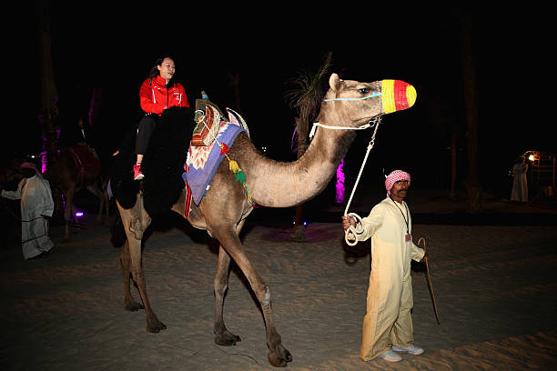 高性?xún)r(jià)比羽毛球拍推薦：2024年品牌排行榜