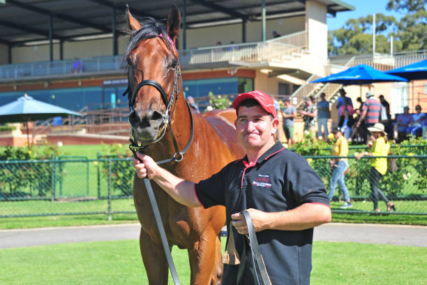 NBA籃球迷必看：人人體育高清直播體驗
