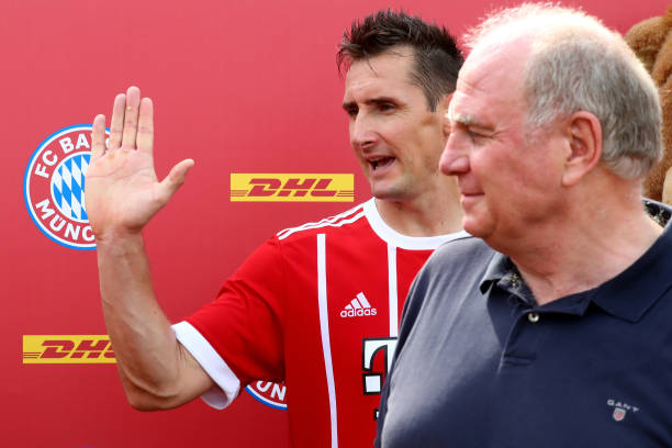 冰王子傳奇：博格坎普職業(yè)生涯數(shù)據(jù)全解析