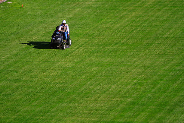 C羅帽子戲法助球隊(duì)逆轉(zhuǎn)，賽后評分全場最高