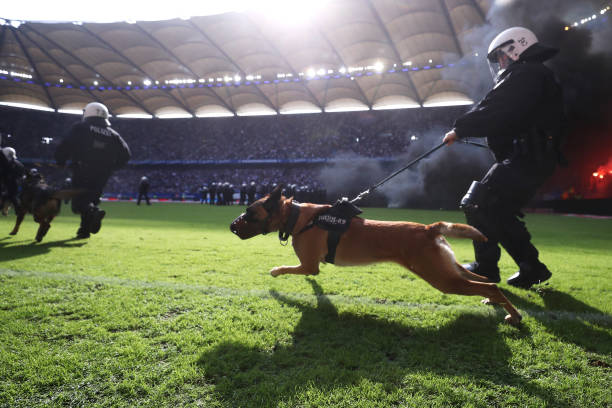 ? 歐冠賽場德國球隊表現(xiàn)：拜仁&多特最新比賽視頻解析！