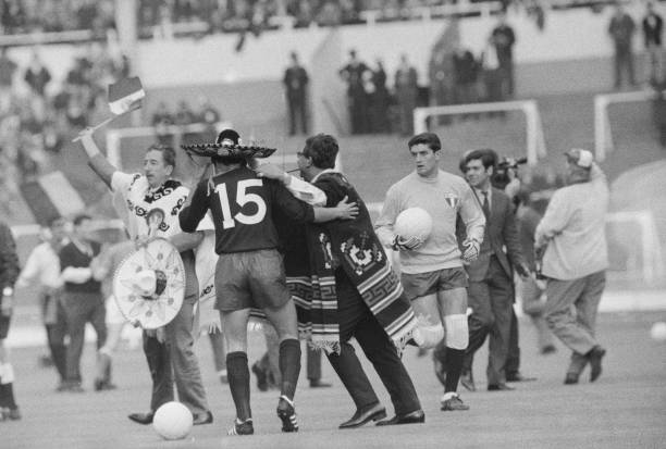 貓咪也能踢足球？黑貓帶球射門視頻爆紅