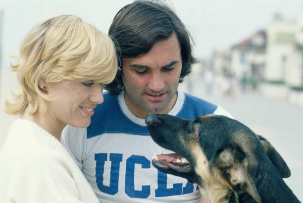 追尋馬特烏斯·范德?tīng)柕穆贸蹋簭氖錂n案到家族秘密