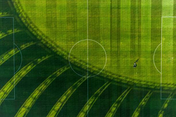 德甲裁判的“高薪”真相：壓力與收入是否匹配？