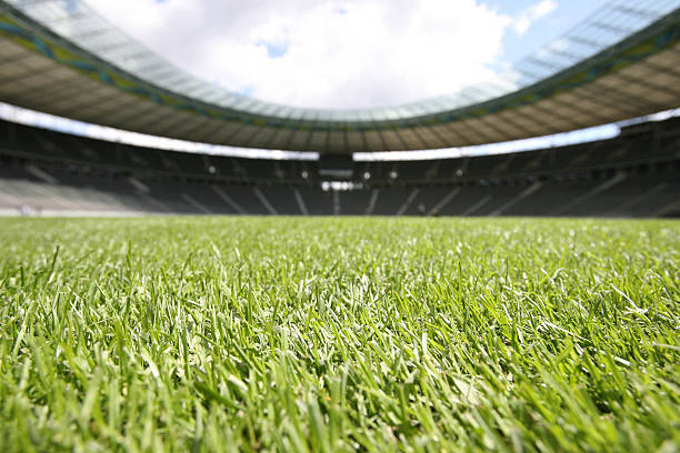 美國足球歸化戰(zhàn)略：海外球員如何增強國家隊實力？