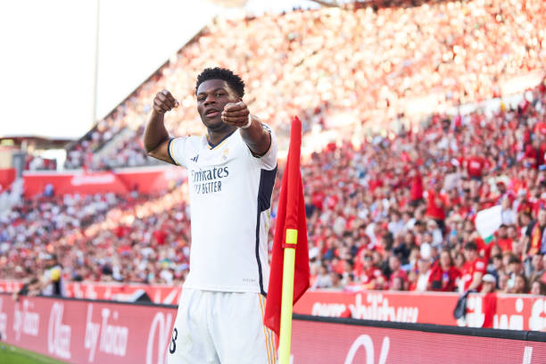 誰說貓不會踢球？黑貓帶球射門實力圈粉