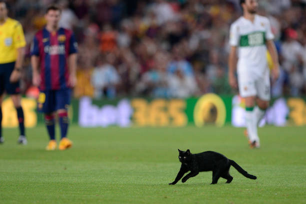 高效看球攻略：用球探比分電腦版定制專(zhuān)屬賽事提醒