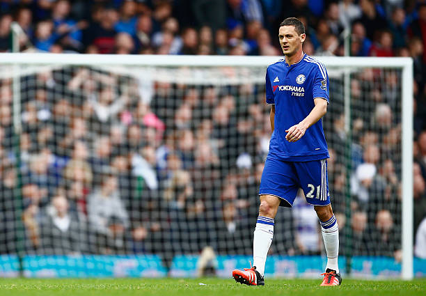 博格坎普身高揭秘：官方數(shù)據(jù)背后的故事