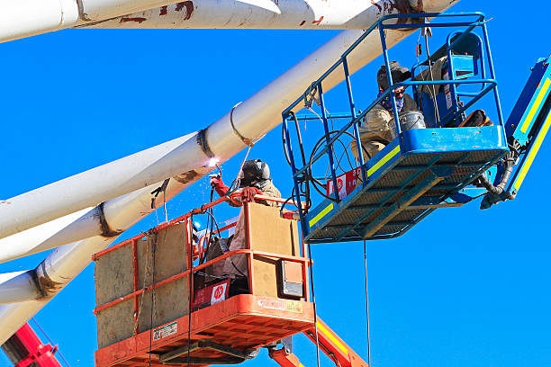 喀麥隆足球在國際足聯(lián)排名中的變遷與實力評估