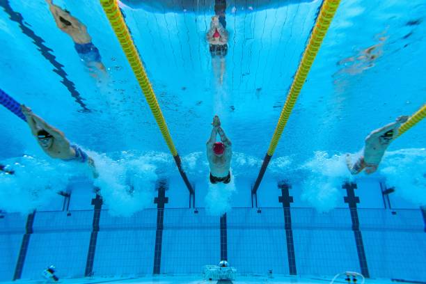 北京奧運(yùn)會(huì)再次舉辦的時(shí)間預(yù)測(cè)