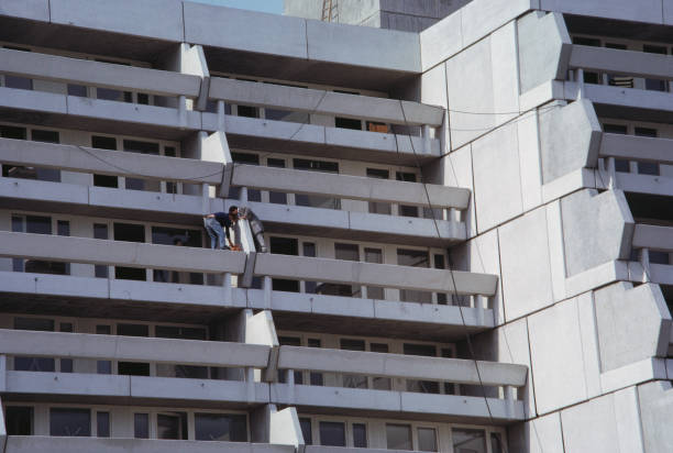 2008年奧運(yùn)會(huì)吉祥物：五個(gè)福娃的來歷與特點(diǎn)