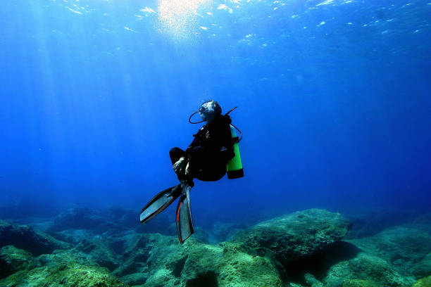 劉德華分享對(duì)郭晶晶的敬佩：體育精神與人生智慧