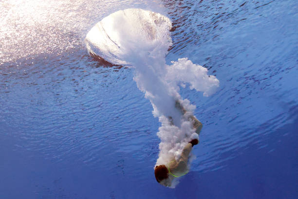 陳若琳跳水動(dòng)作分解視頻：學(xué)習(xí)冠軍的技術(shù)細(xì)節(jié)