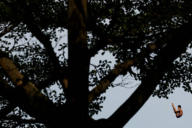 中國跳水隊(duì)陳芋汐身高揭秘：天賦與努力的完美結(jié)合