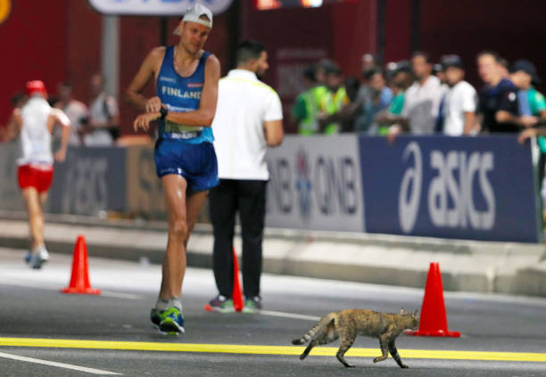 面相大師說(shuō)伏明霞：她的面相是否與她的成就相關(guān)？