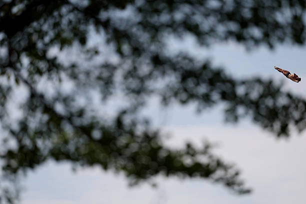 全紅嬋的訓練日常：每天400跳背后的汗水與堅持