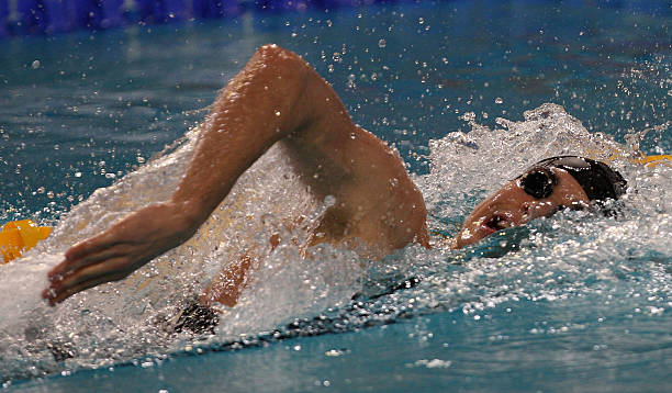 全紅嬋國家隊(duì)動(dòng)態(tài)：她是否已經(jīng)加入？