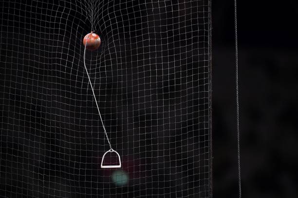 夫妻同心創(chuàng)業(yè)：吳敏霞與丈夫共同打造泳裝品牌的心路歷程