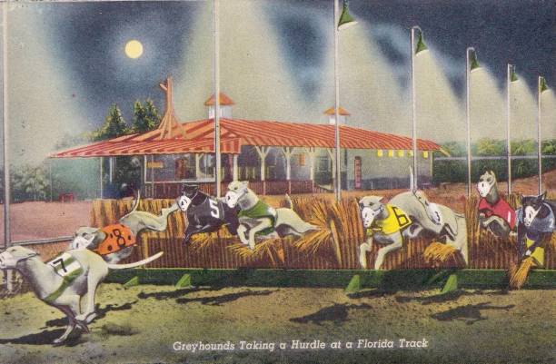 短跑跑鞋品牌對(duì)比：輕量、抓地力與緩震性能分析