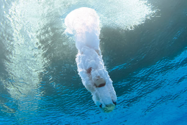 馬拉松世界紀(jì)錄突破：科技與訓(xùn)練如何推動(dòng)極限？