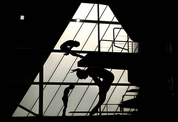 技術(shù)解析：陳若琳和全紅嬋的跳水風格與優(yōu)勢對比