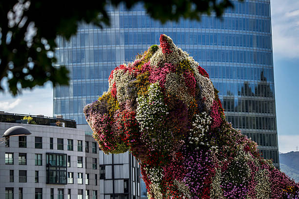 世界田聯(lián)對(duì)長(zhǎng)跑項(xiàng)目的官方距離規(guī)定解析