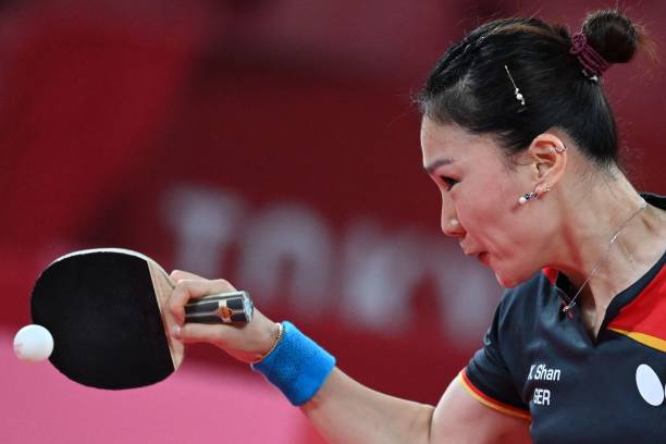 樊振東八強賽最新動態(tài)：橫掃對手，劍指冠軍