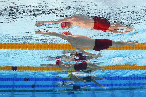 鴨媽媽的游泳課：如何教會(huì)小鴨子掌握游泳技巧