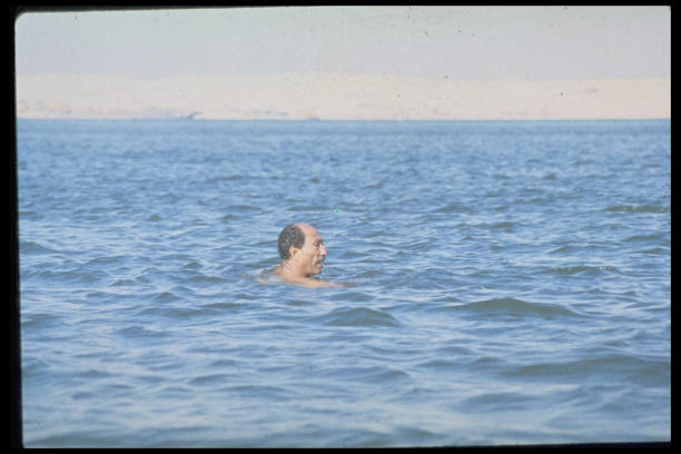 游泳技巧解析：自由泳和蛙泳的易學性與速度對比