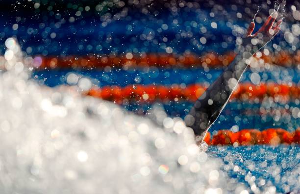 游不動了，水里的魚都在嘲笑我