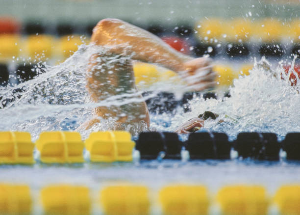 深圳龍崗區(qū)游泳館全攻略：位置、價(jià)格、開(kāi)放時(shí)間一覽