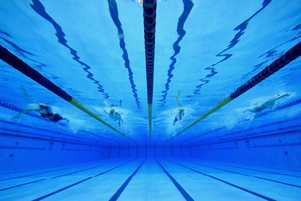 適用于專業(yè)評論，提供權(quán)威視角和深度洞察