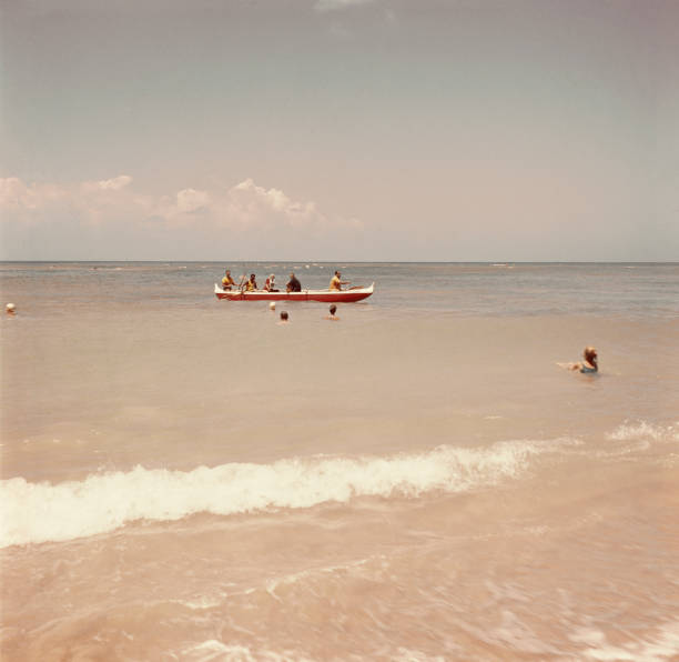 楊俊萱的游泳生涯：年齡、身高、體重及技術(shù)特點