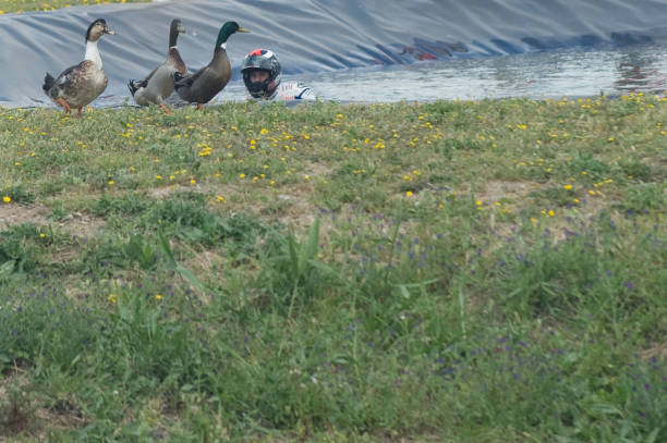 游泳新星崛起！盤點2023年世錦賽最值得關注的年輕選手