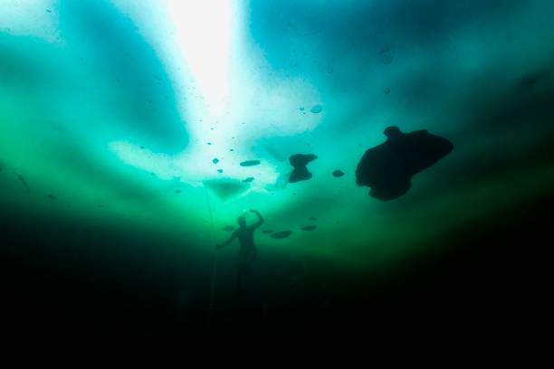 制定你的自由泳訓(xùn)練計(jì)劃：分解練習(xí)與配合游的提升策略