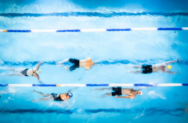 游泳賽事2024年賽程更新！最新時(shí)間表視頻速遞