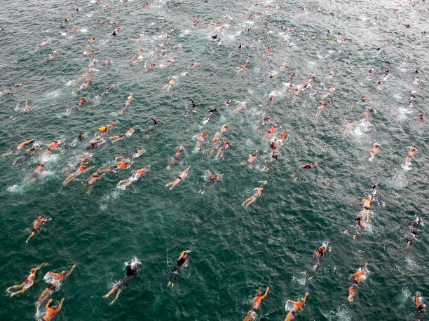 自由泳的起源：誰發(fā)明了這種游泳方式？