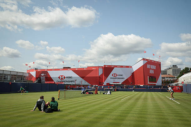 金滿(mǎn)貫網(wǎng)球選手的輝煌之路：從無(wú)名小卒到網(wǎng)壇傳奇