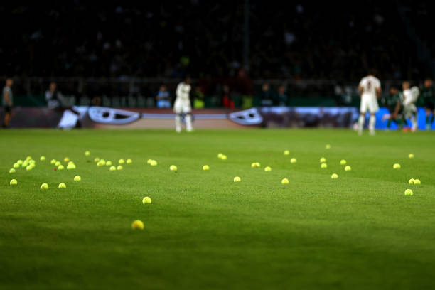 2024法網(wǎng)前瞻：納達(dá)爾能否在羅蘭·加洛斯再創(chuàng)輝煌？