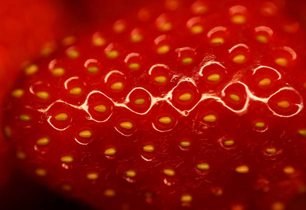 網(wǎng)球雙打站位圖解：從基礎(chǔ)到進(jìn)階的完整教學(xué)指南