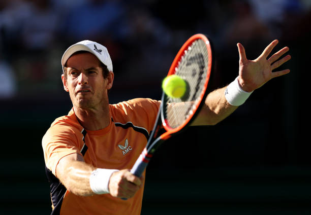 草地傳奇：回顧2021年溫布爾登的精彩對(duì)決