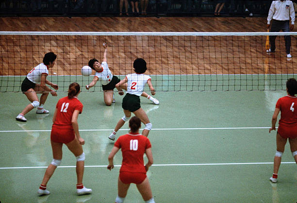 惠若琪復(fù)出引發(fā)熱議，郎平表示理解并給予鼓勵(lì)