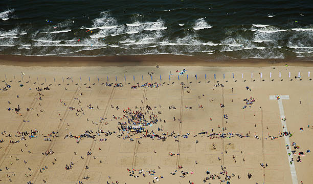 排球比賽勝負(fù)機(jī)制：幾局幾勝制如何影響戰(zhàn)術(shù)安排？